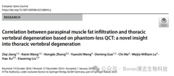 椎旁肌脂肪评估